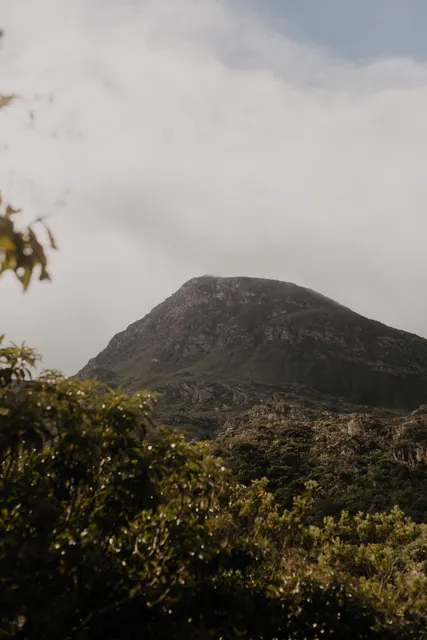 Elephant's Eye (Silvermine)
